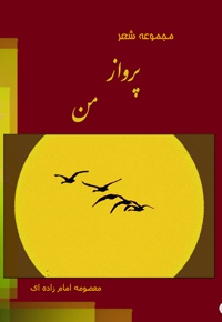 پرواز من